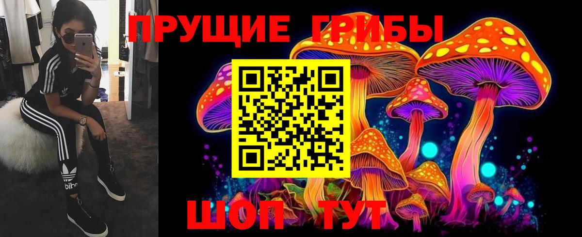 Галлюциногенные грибы Cubensis Губкинский