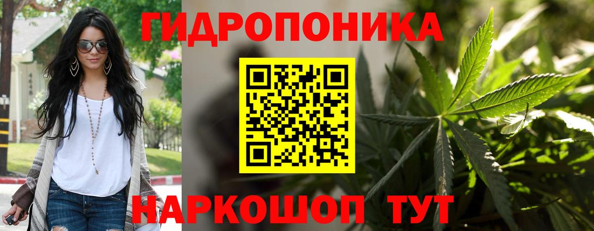 Конопля сатива Губкинский